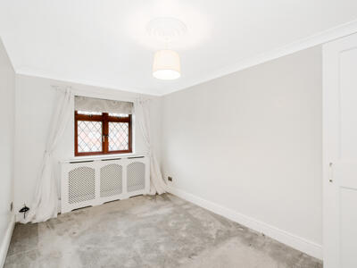 Picture 12
